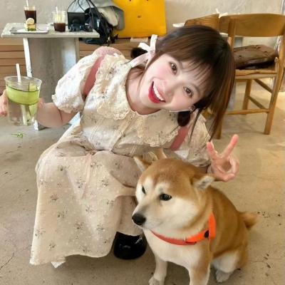 戴安娜:音乐剧