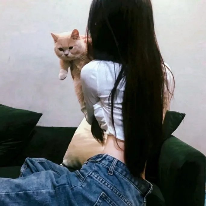 这货哪来的